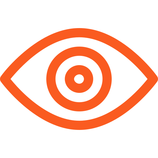 My Vision